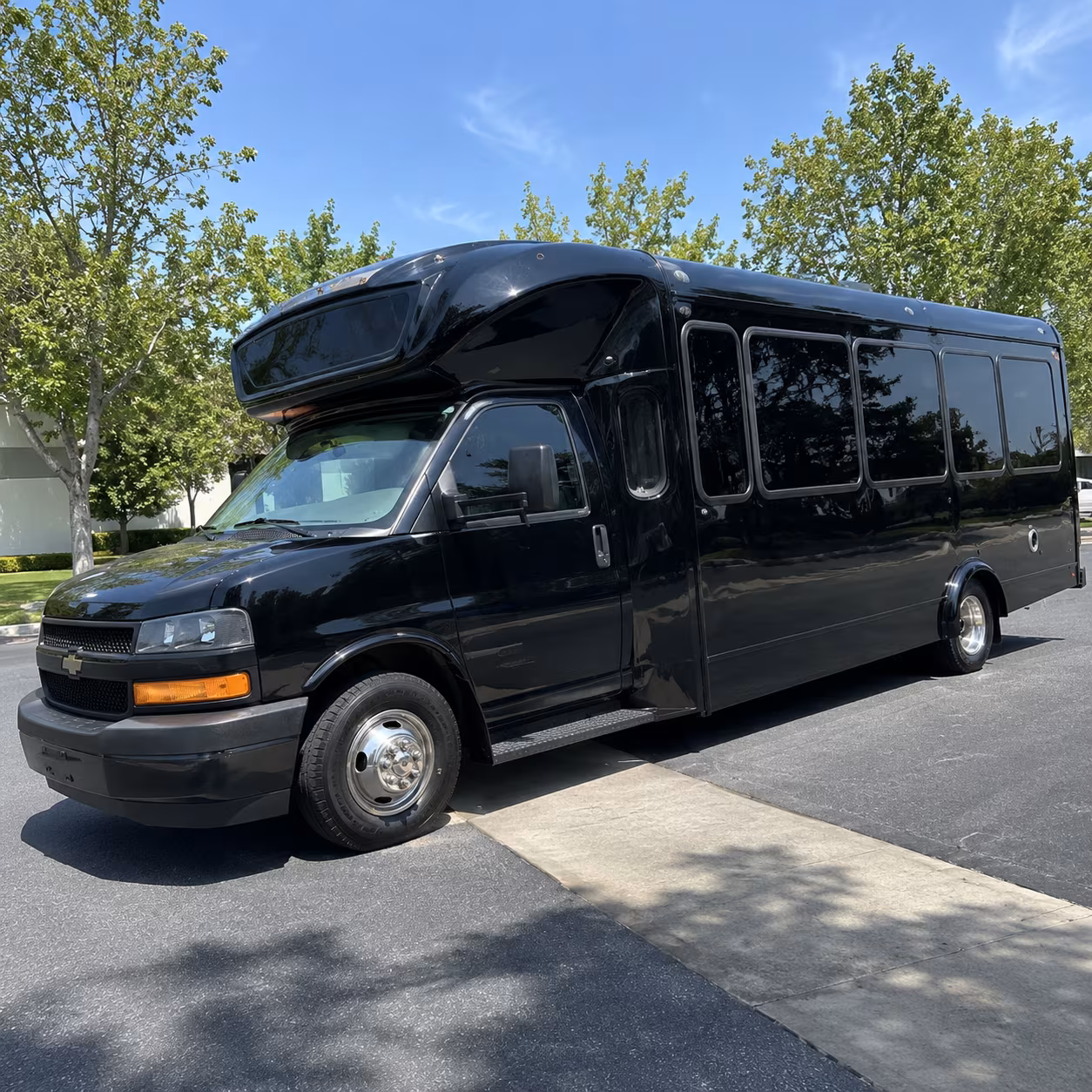 mentor 15 passenger party bus