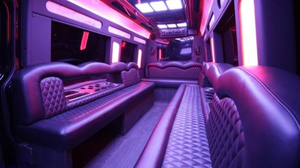 mentor sprinter limo rental inside